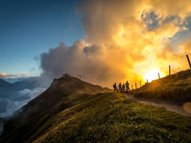 Mountainbike Mountainbike